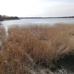 度假居 Peaceful Retreat In