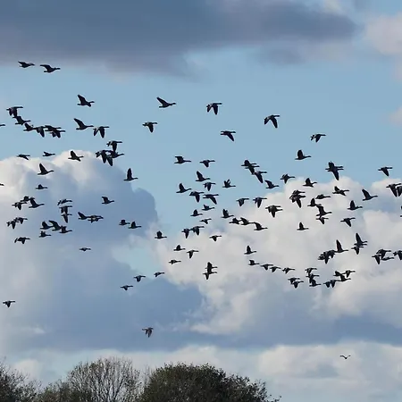 Casa vacanze Peaceful Retreat In