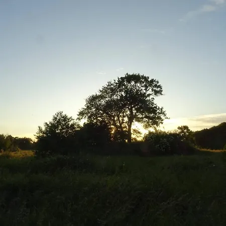 度假居 Peaceful Retreat In