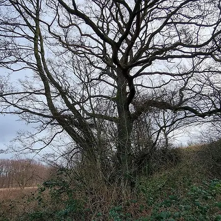 Casa vacanze Peaceful Retreat In Ebeltoft