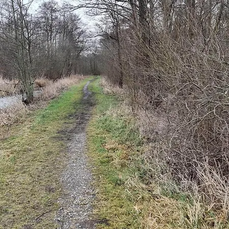 Peaceful Retreat In * Ebeltoft